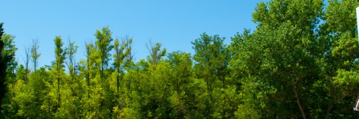 Ausblick nach vorne